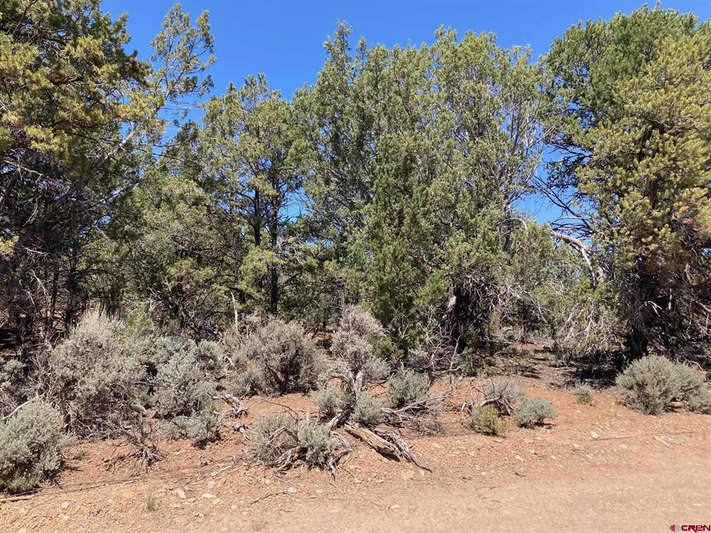 Lot 4 County Road 22 Montrose CO 81403
