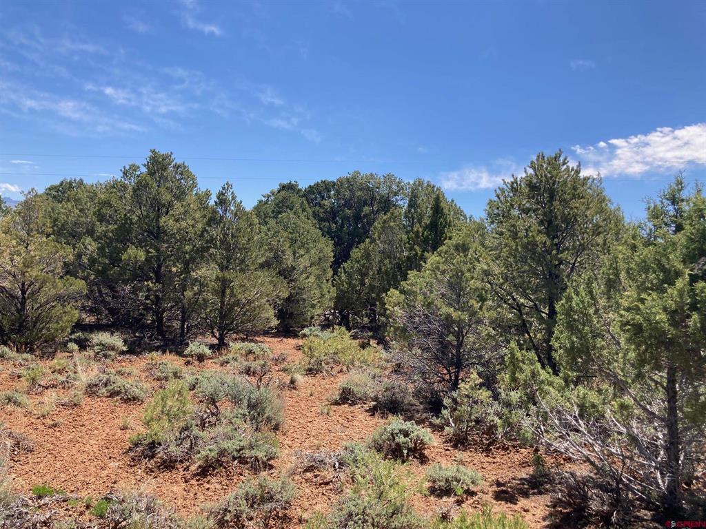 Lot 4 County Road 22 Montrose CO 81403