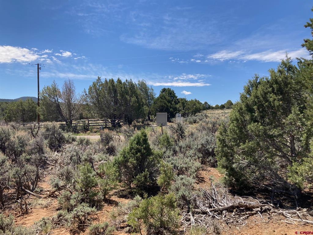 Lot 4 County Road 22 Montrose CO 81403