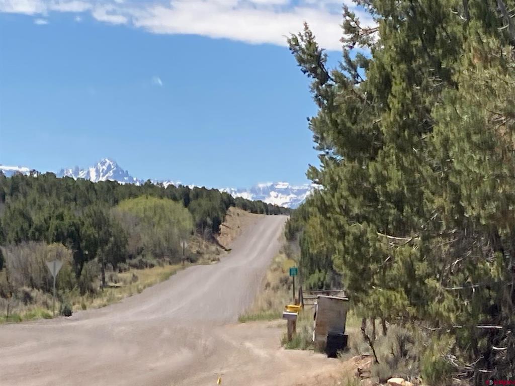 Lot 4 County Road 22 Montrose CO 81403