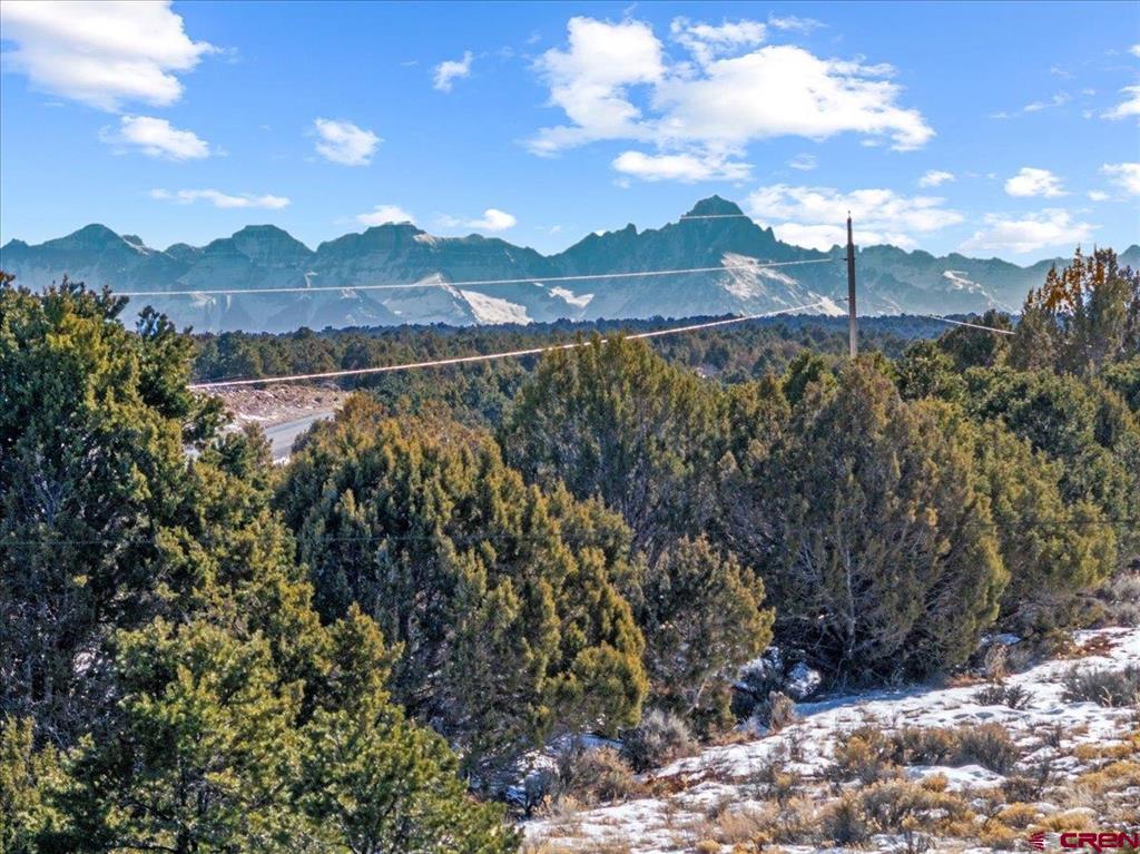 Lot 4 County Road 22 Montrose CO 81403