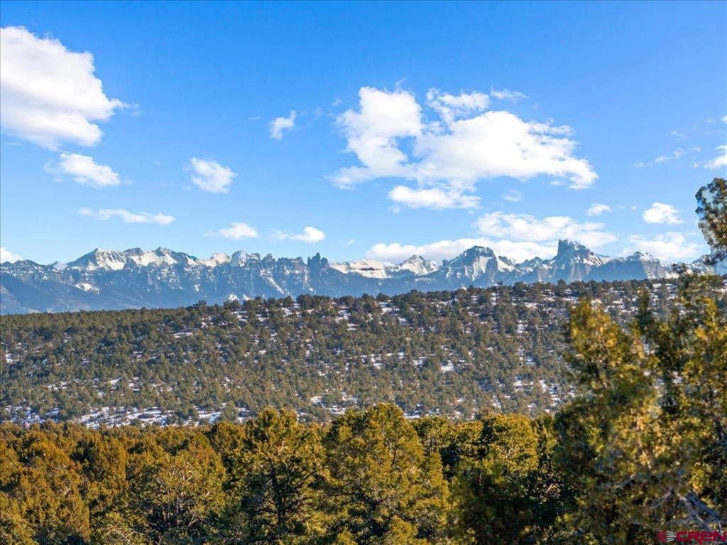 Lot 4 County Road 22 Montrose CO 81403