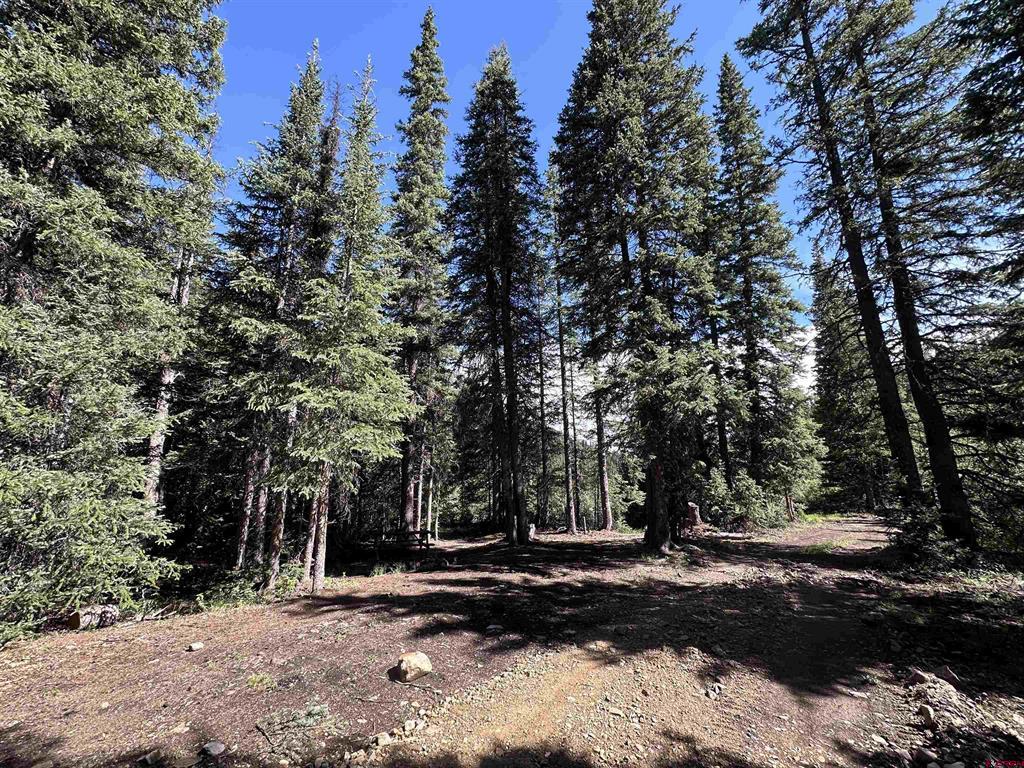 Lot 11 Overland Estates, Cr 110 Silverton CO 81433