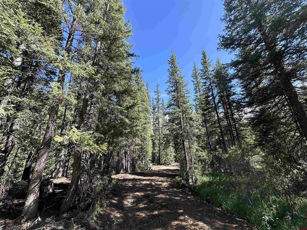 Lot 11 Overland Estates, Cr 110 Silverton CO 81433