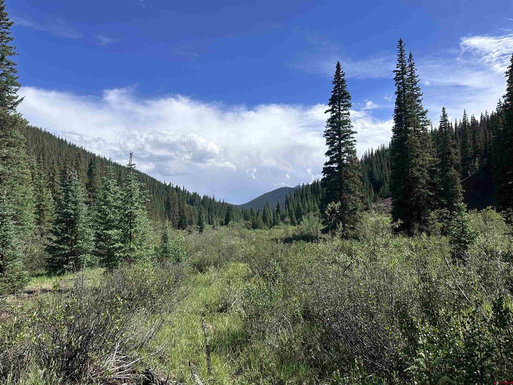 Lot 11 Overland Estates, Cr 110 Silverton CO 81433