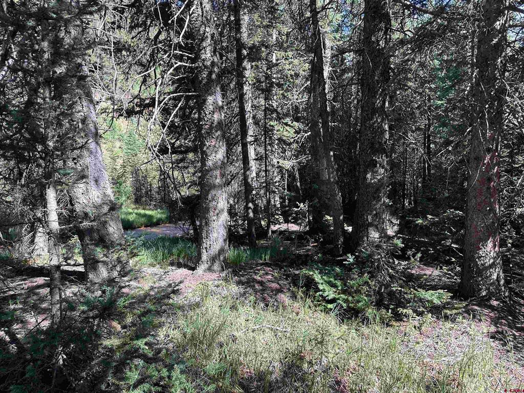 Lot 11 Overland Estates, Cr 110 Silverton CO 81433