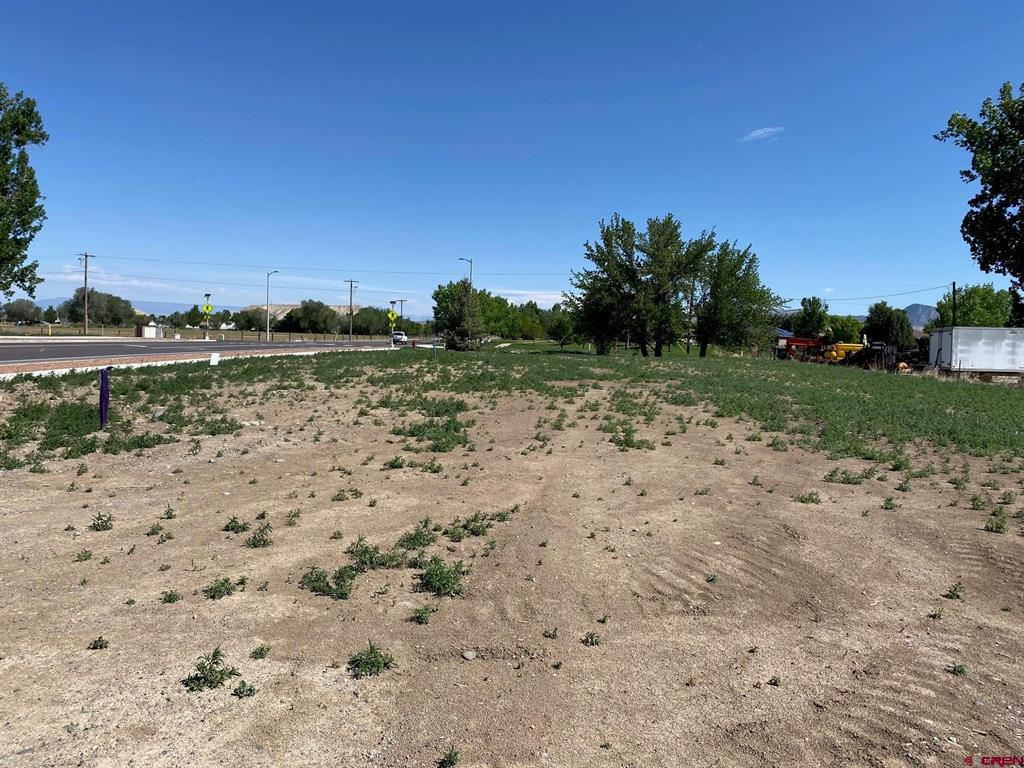 Lot 7 6700 Road Montrose CO 81401