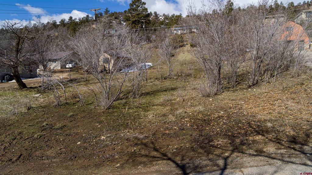 3211 W 2nd Avenue Durango CO 81301
