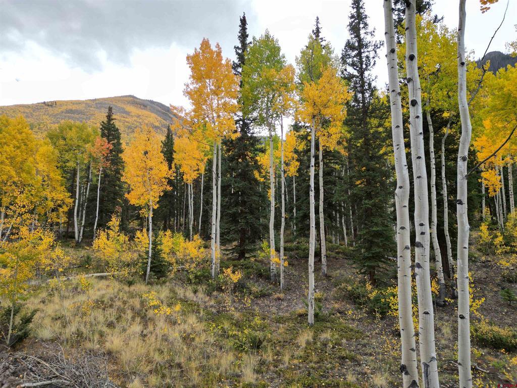 10 Alpine Vista Way Lake City CO 81235