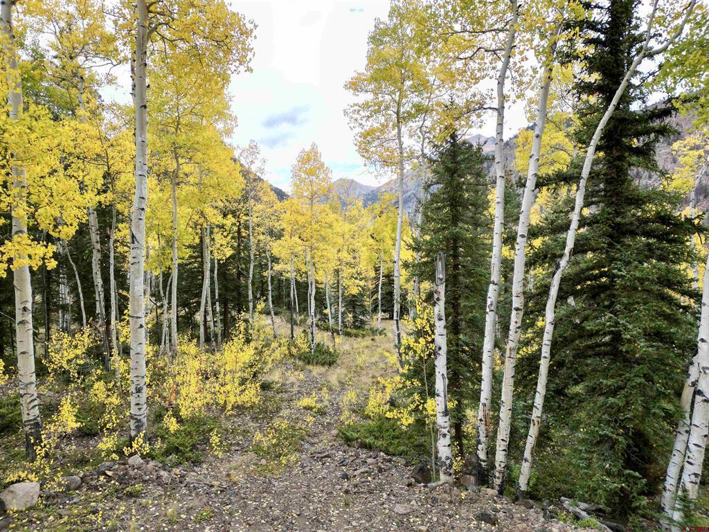 10 Alpine Vista Way Lake City CO 81235