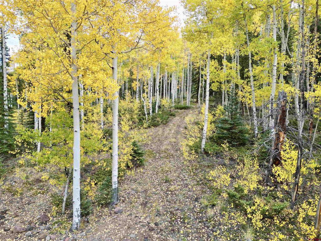 10 Alpine Vista Way Lake City CO 81235