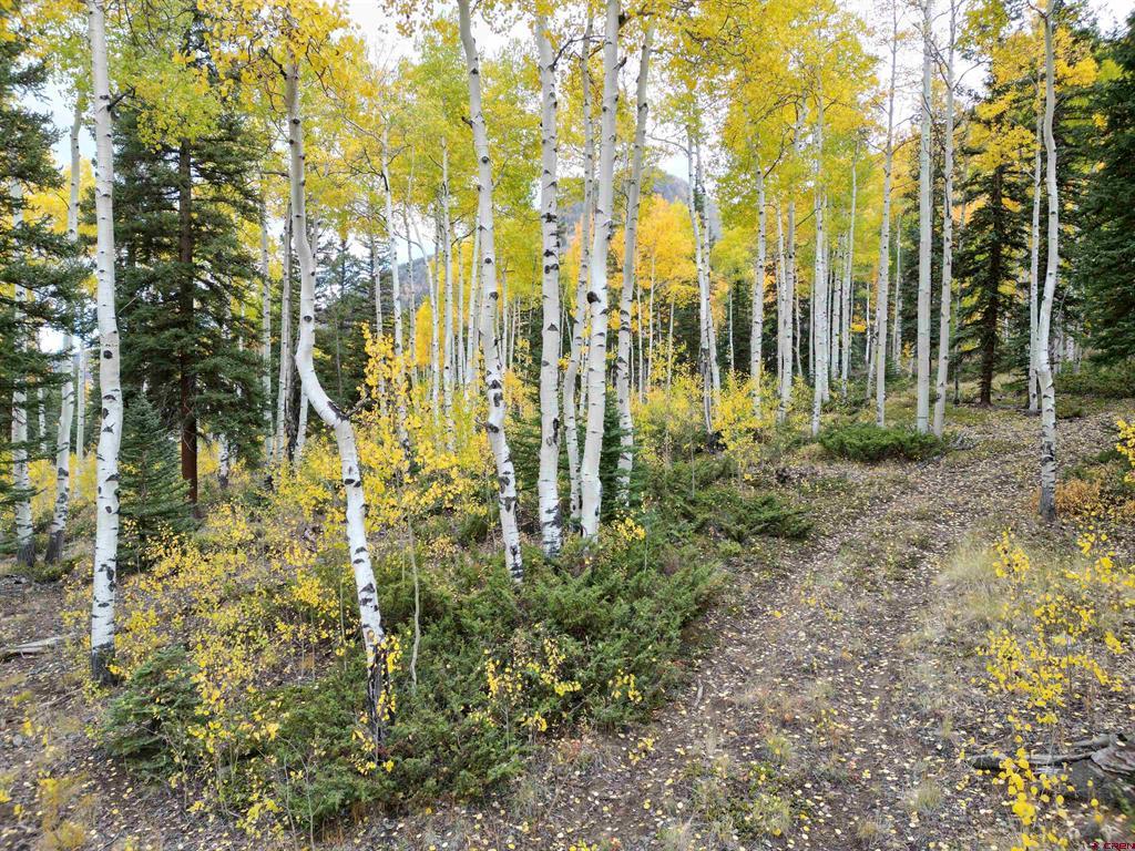 10 Alpine Vista Way Lake City CO 81235