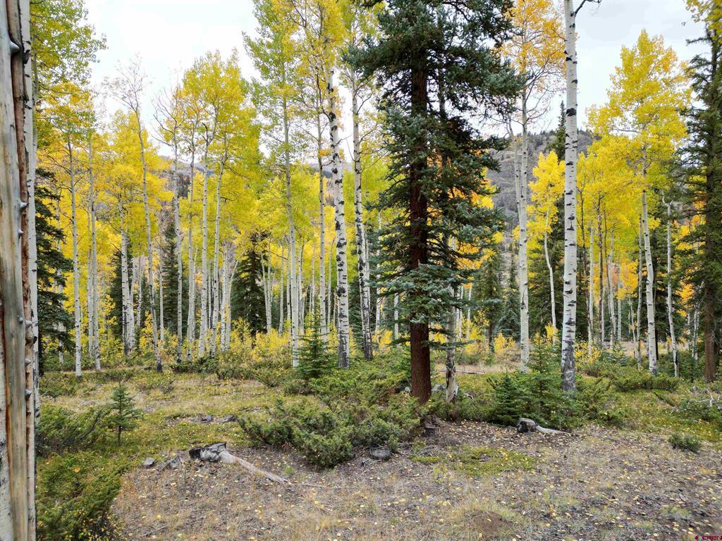 10 Alpine Vista Way Lake City CO 81235