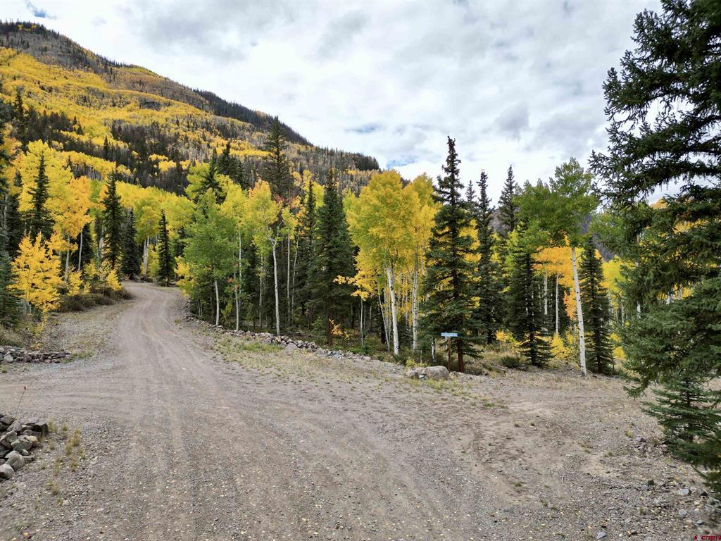 10 Alpine Vista Way Lake City CO 81235