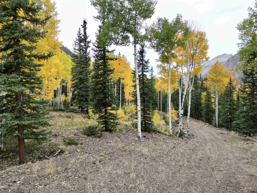 10 Alpine Vista Way Lake City CO 81235
