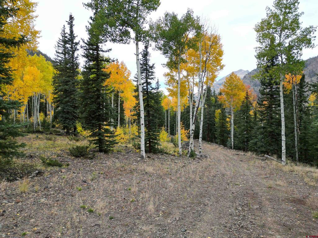 10 Alpine Vista Way Lake City CO 81235