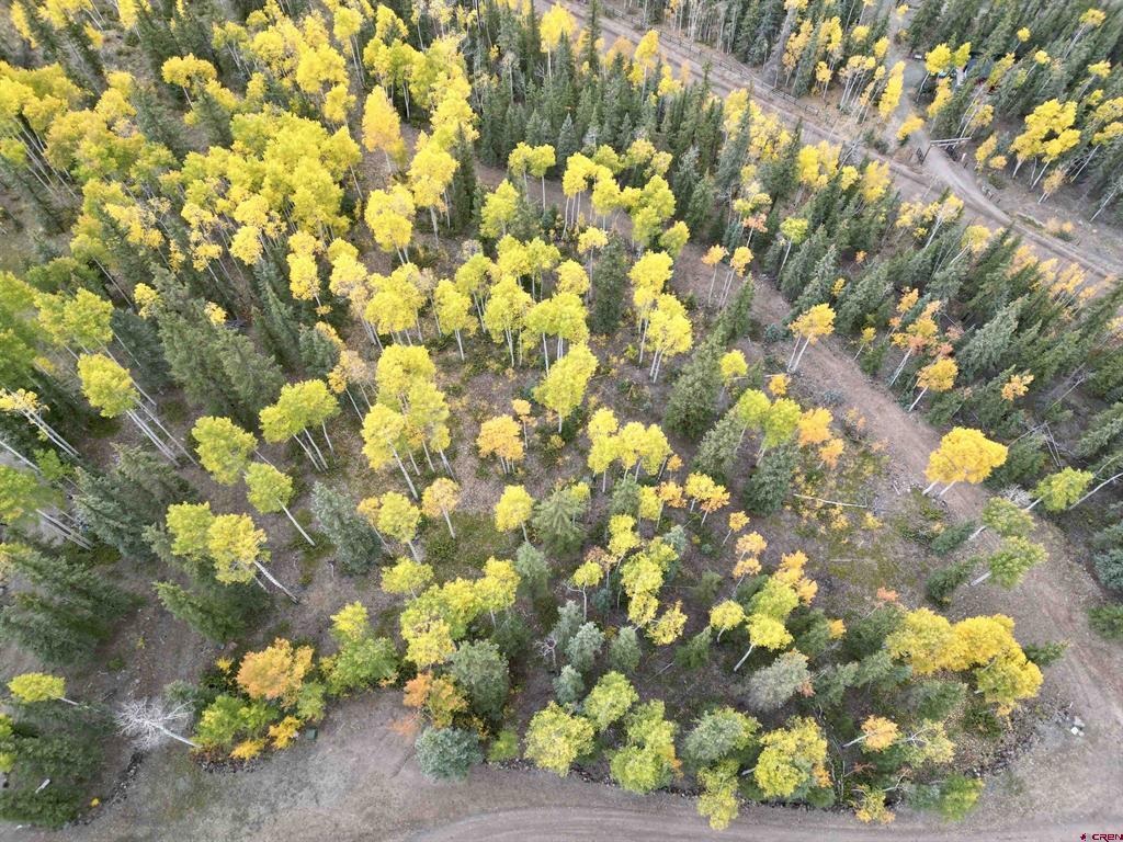 10 Alpine Vista Way Lake City CO 81235