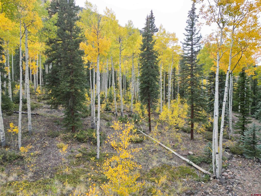 10 Alpine Vista Way Lake City CO 81235