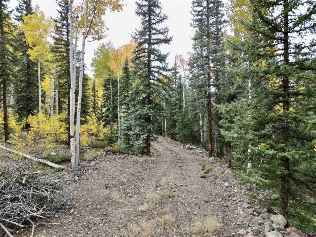 10 Alpine Vista Way Lake City CO 81235