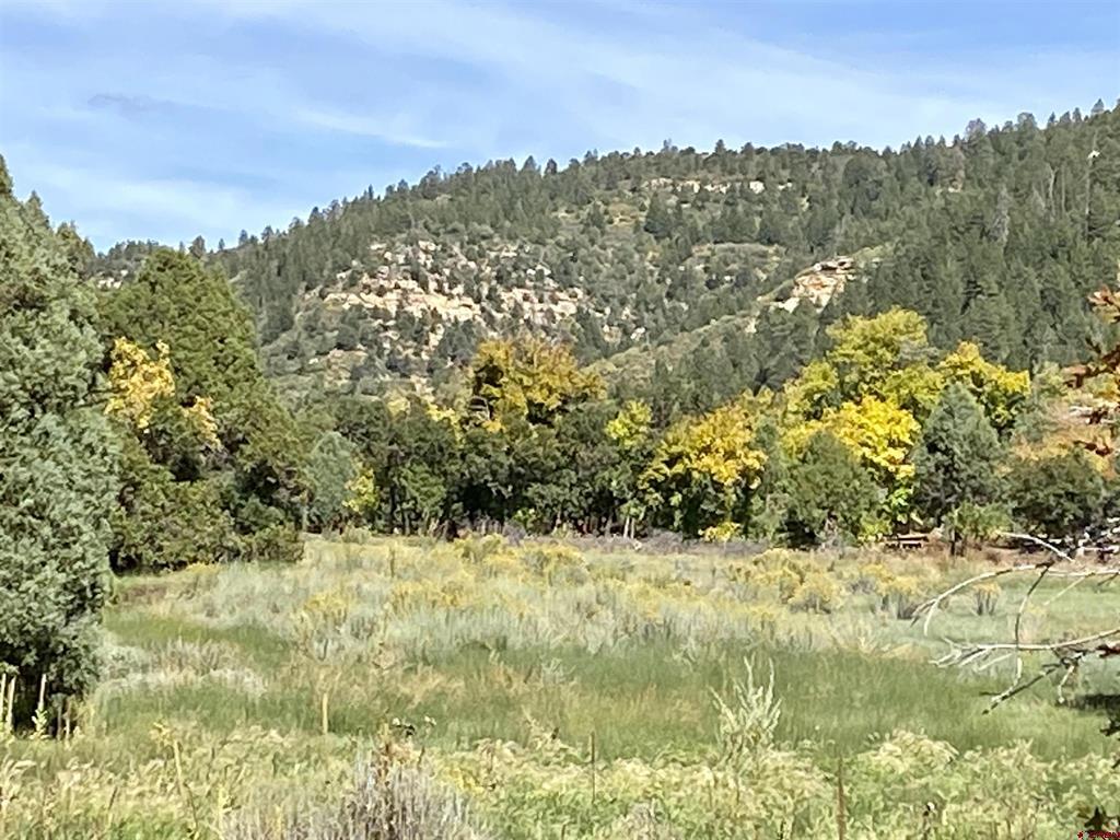 Tbd Road 46 Mancos CO 81328