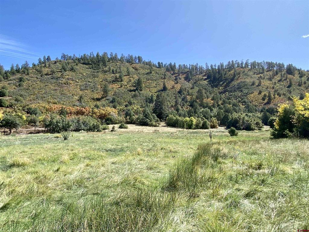 Tbd Road 46 Mancos CO 81328