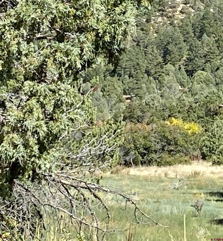 Tbd Road 46 Mancos CO 81328