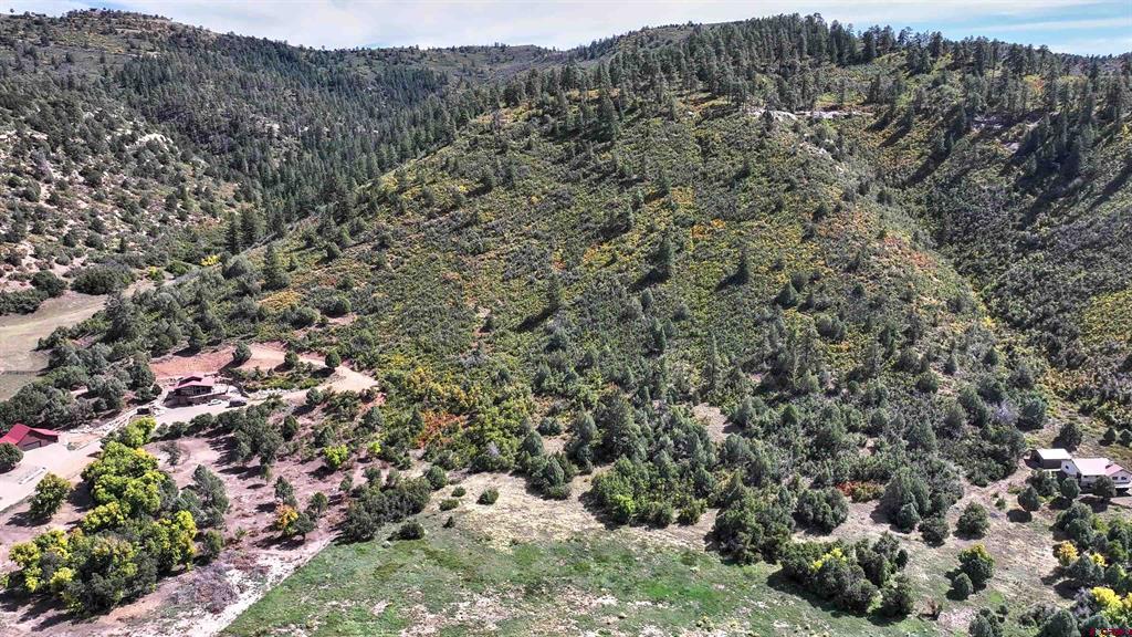 Tbd Road 46 Mancos CO 81328