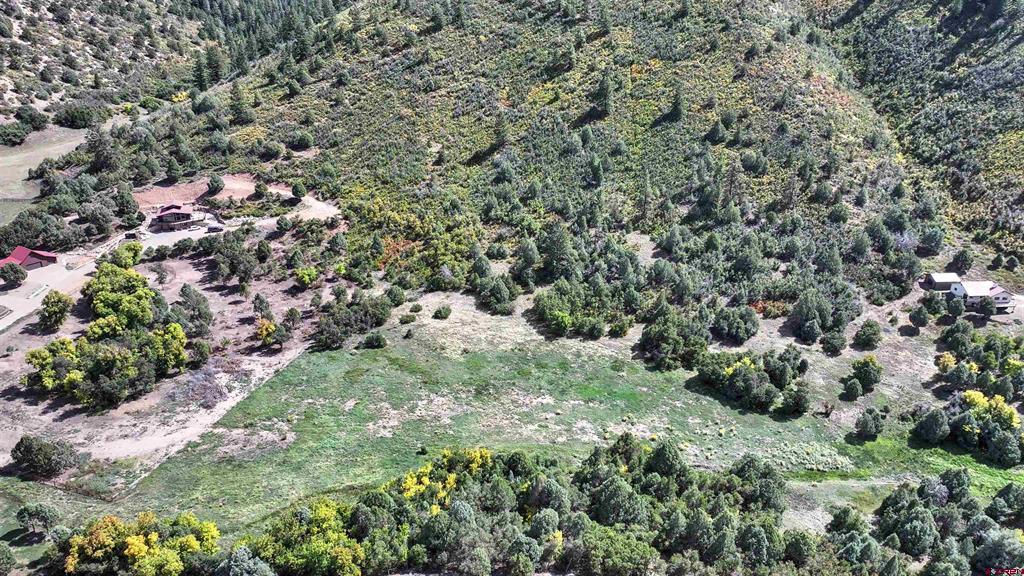 Tbd Road 46 Mancos CO 81328