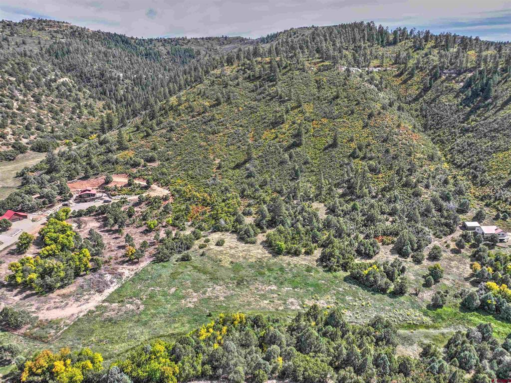 Tbd Road 46 Mancos CO 81328