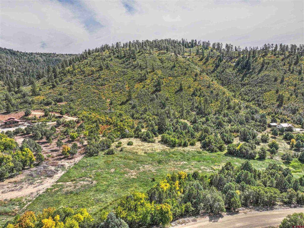 Tbd Road 46 Mancos CO 81328