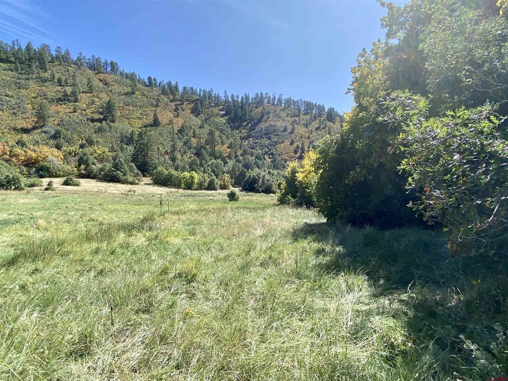 Tbd Road 46 Mancos CO 81328