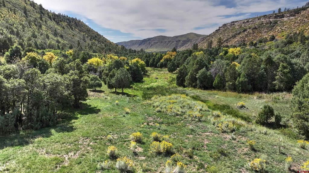 Tbd Road 46 Mancos CO 81328