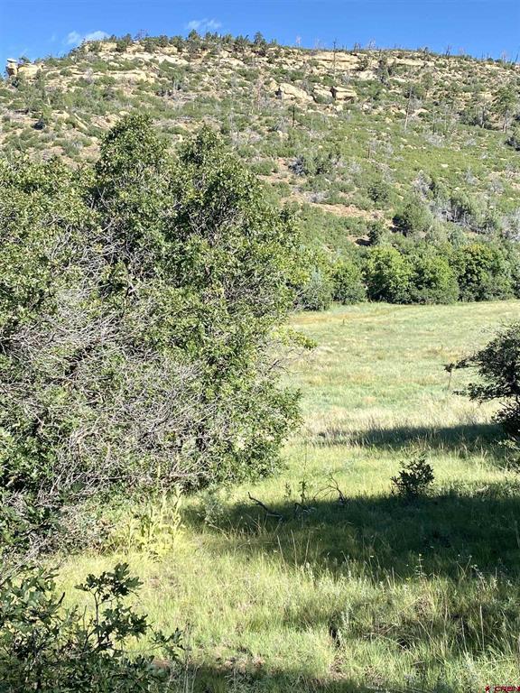 Tbd Road 46 Mancos CO 81328