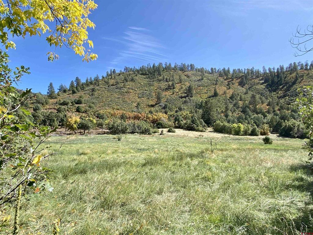 Tbd Road 46 Mancos CO 81328