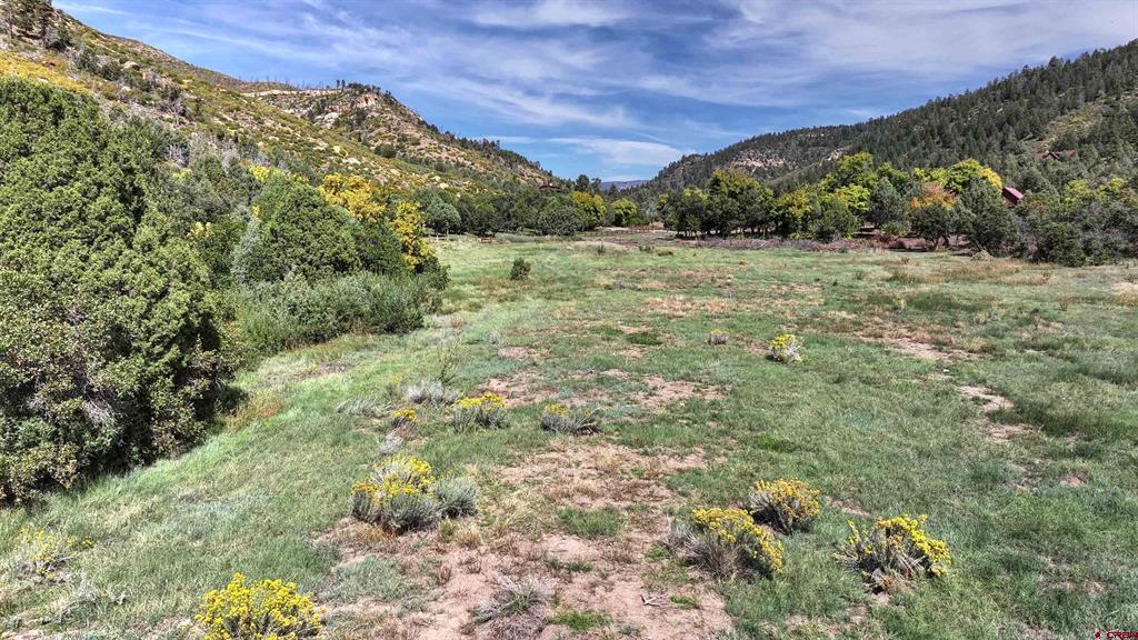 Tbd Road 46 Mancos CO 81328