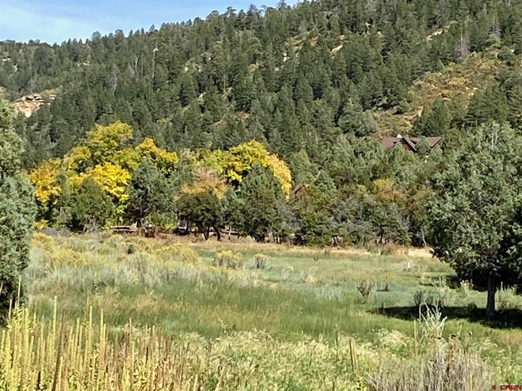 Tbd Road 46 Mancos CO 81328