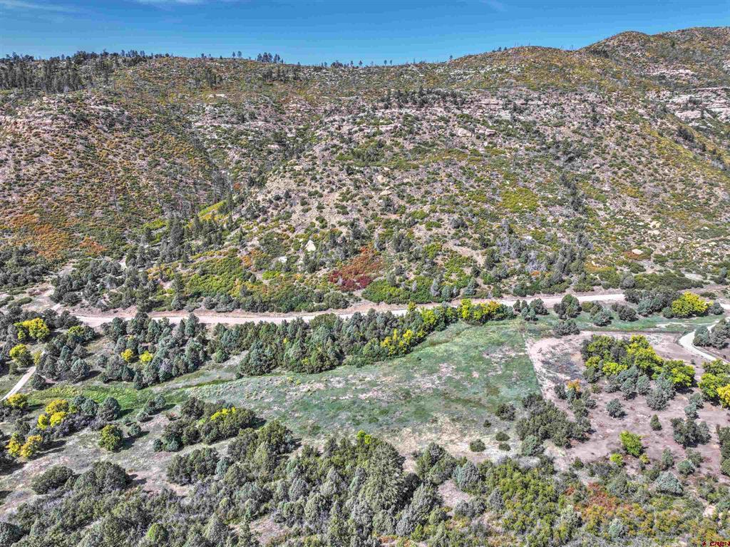 Tbd Road 46 Mancos CO 81328