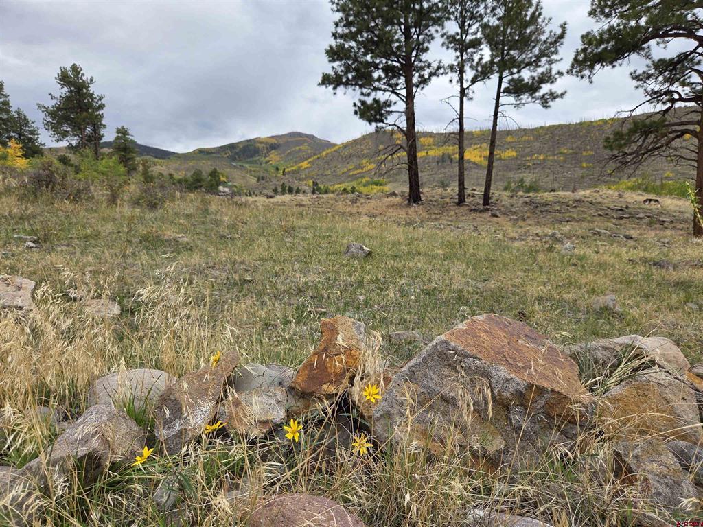 94 Rock Ridge Court South Fork CO 81154