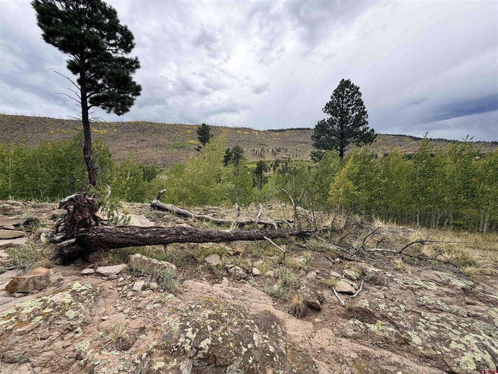 94 Rock Ridge Court South Fork CO 81154