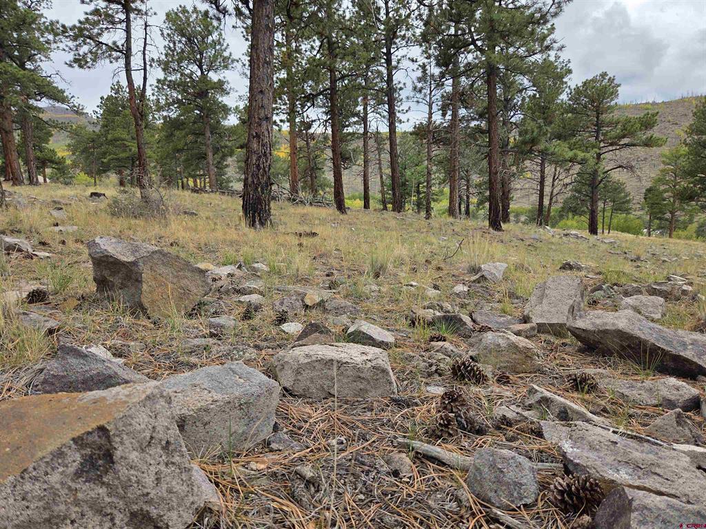 94 Rock Ridge Court South Fork CO 81154