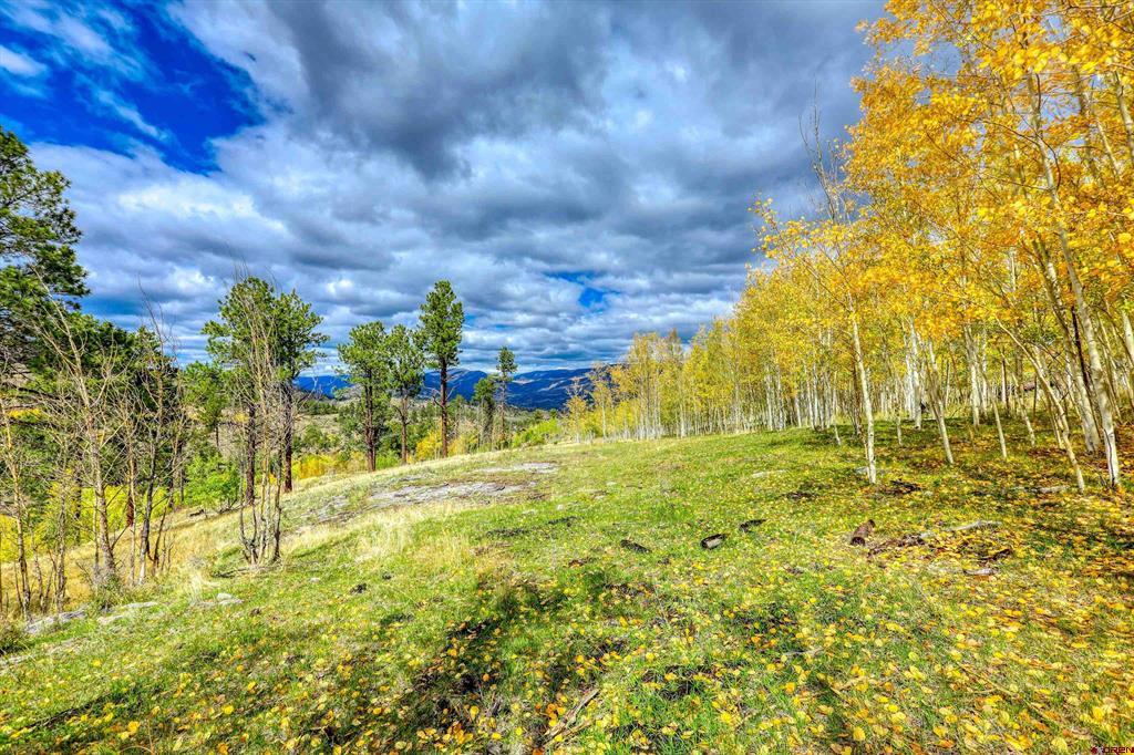 94 Rock Ridge Court South Fork CO 81154
