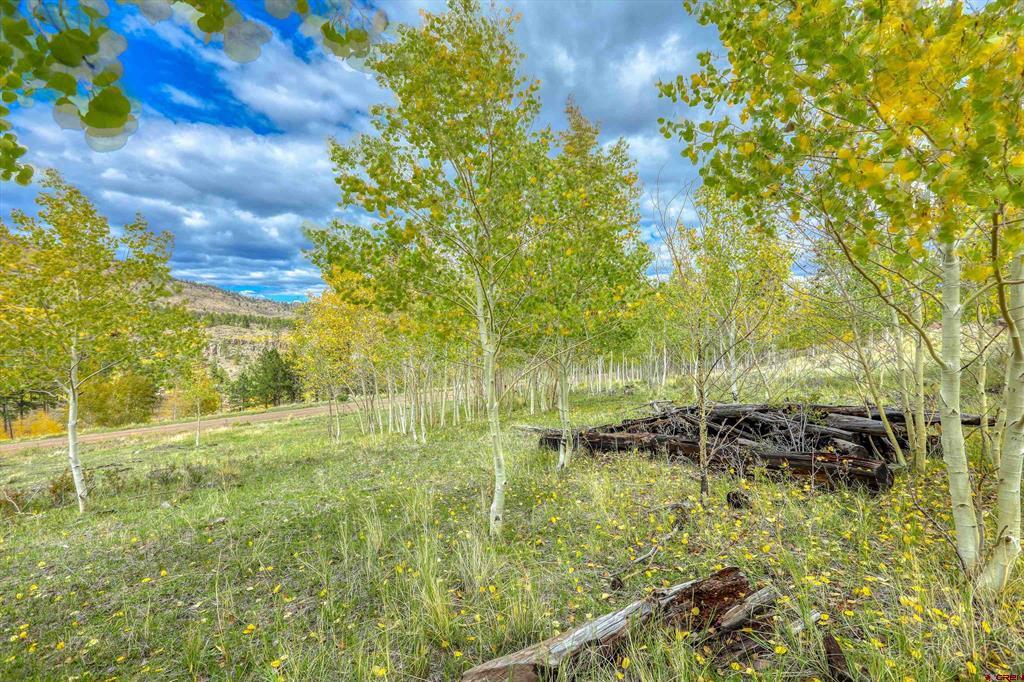 94 Rock Ridge Court South Fork CO 81154