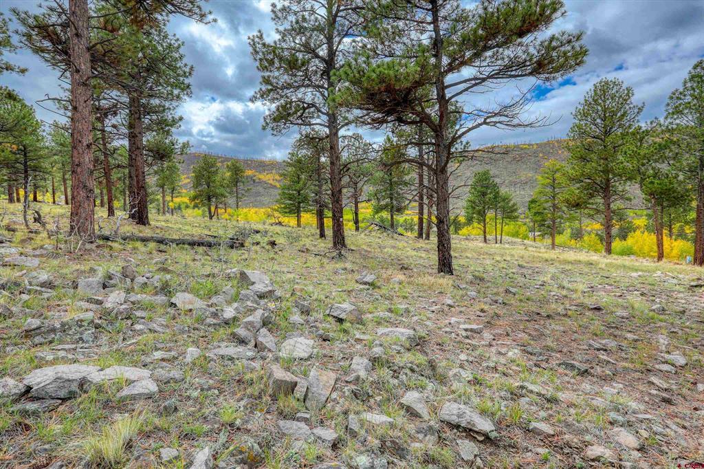 94 Rock Ridge Court South Fork CO 81154