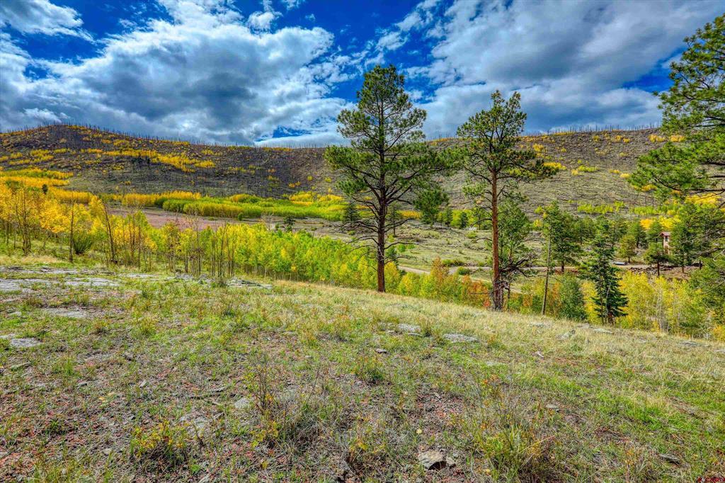 94 Rock Ridge Court South Fork CO 81154