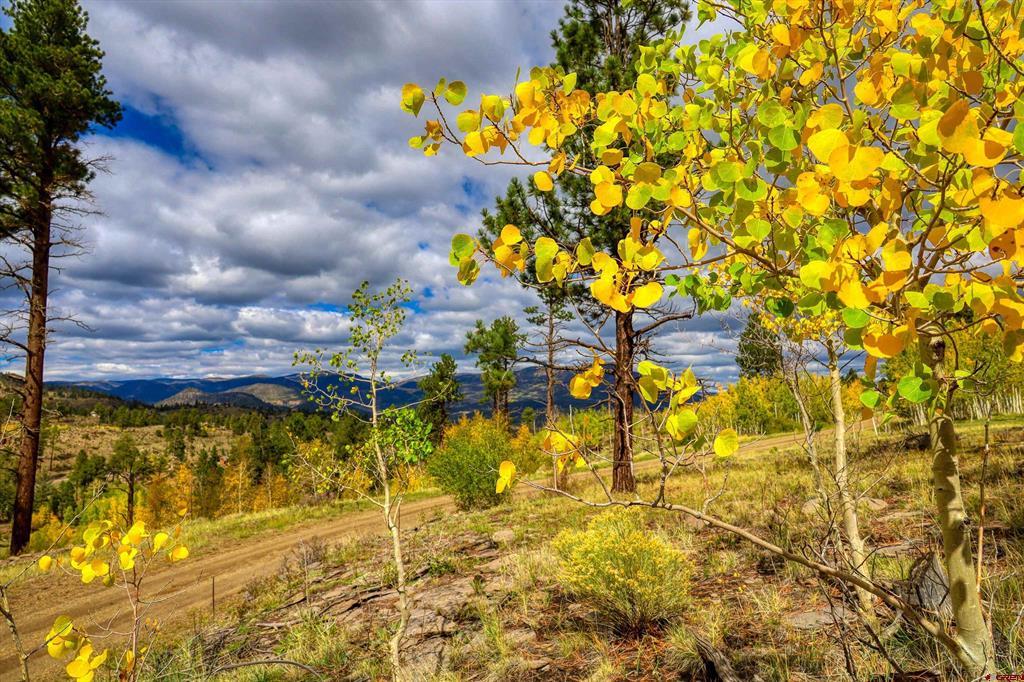 94 Rock Ridge Court South Fork CO 81154