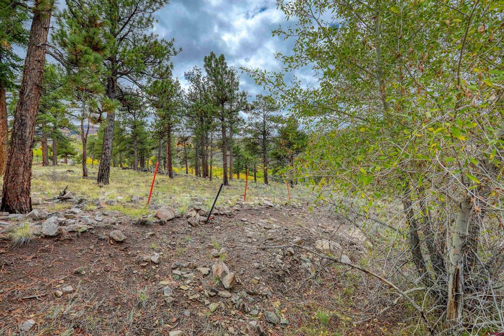 94 Rock Ridge Court South Fork CO 81154