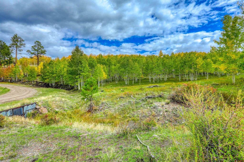 94 Rock Ridge Court South Fork CO 81154