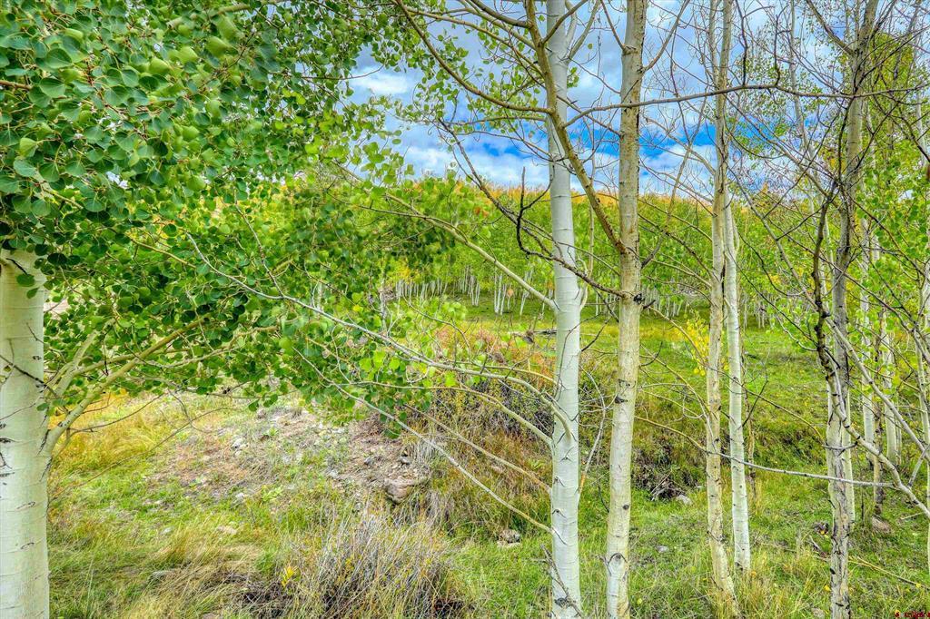 94 Rock Ridge Court South Fork CO 81154