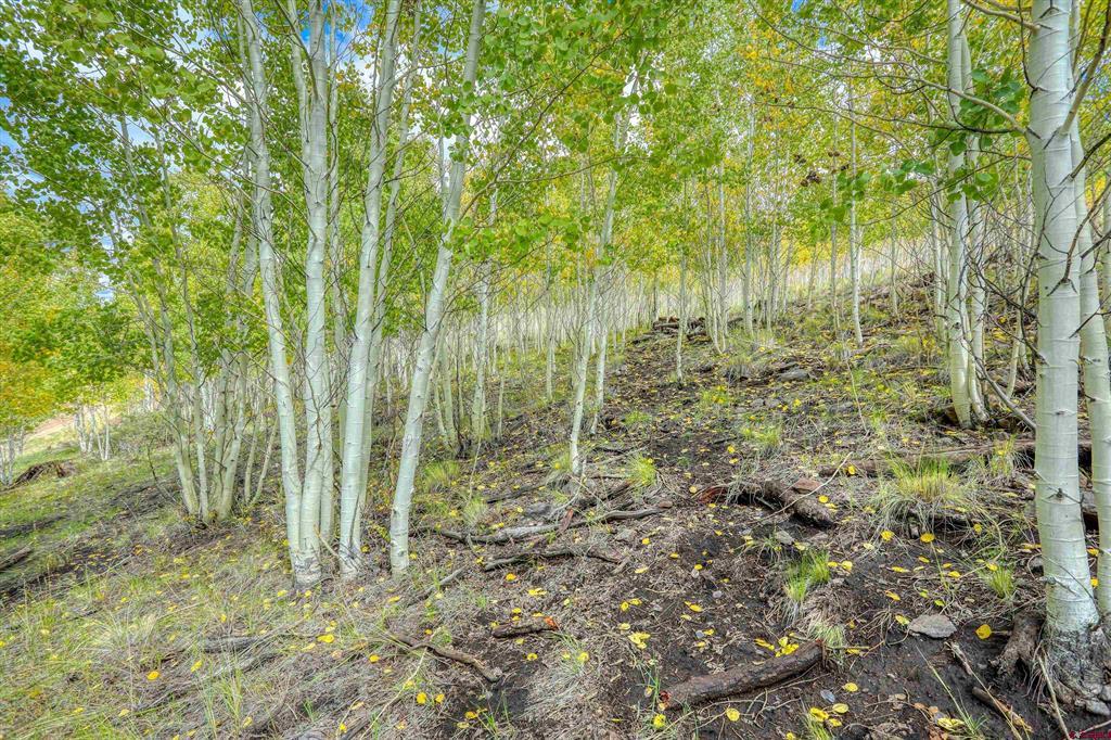 94 Rock Ridge Court South Fork CO 81154