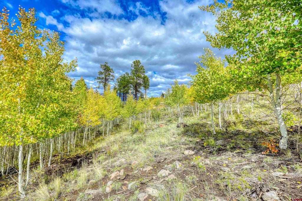94 Rock Ridge Court South Fork CO 81154
